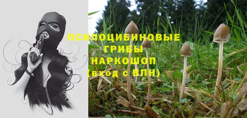 Галлюциногенные грибы Magic Shrooms  Ирбит 